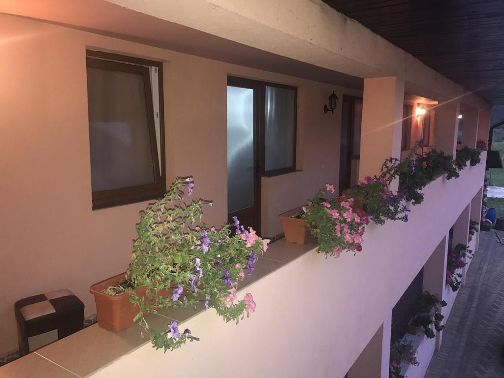 Pensiunea Sasu Şieu Extérieur photo
